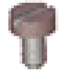 Schraube Anschlussmutter